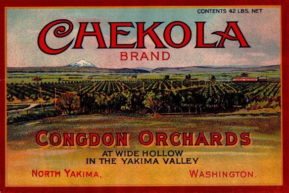 chekola