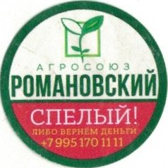 russe (+7995170111)