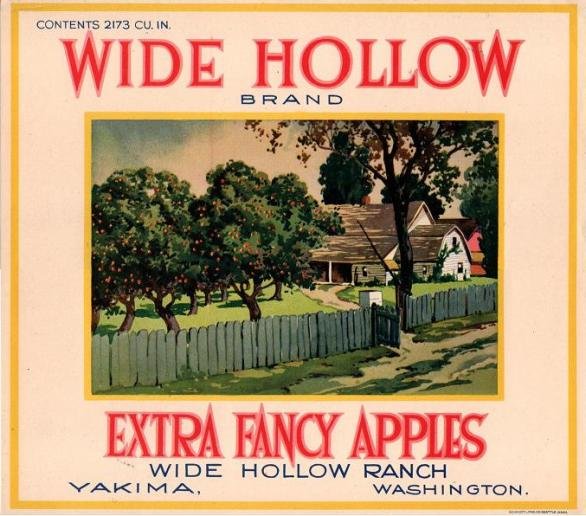 wide hollow apples
