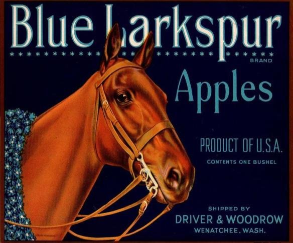 blue  larkspur apples produce of usa