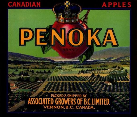 penoka canadian apples