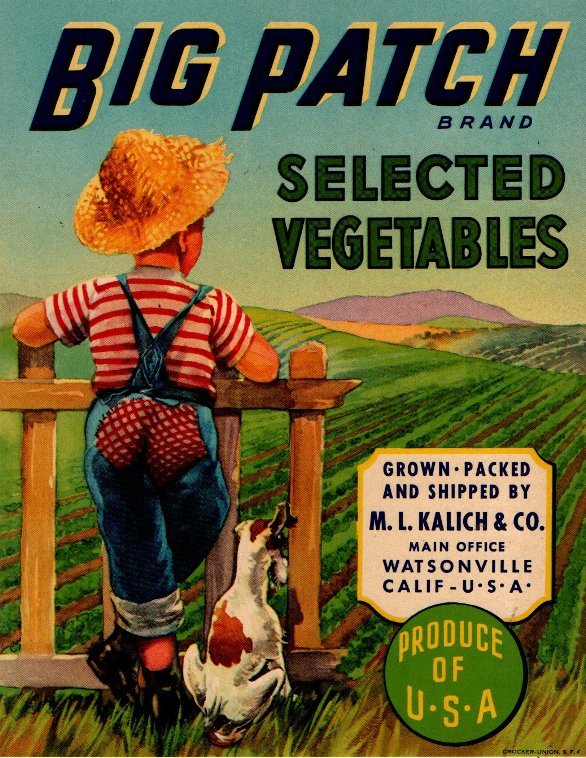 big patch produce of usa