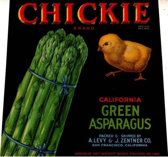 chickie rehg us