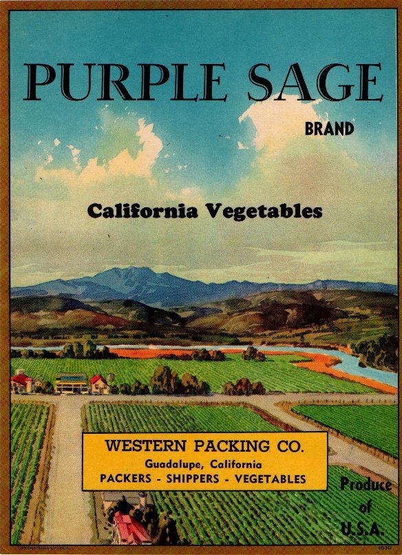 purple sage produce of usa