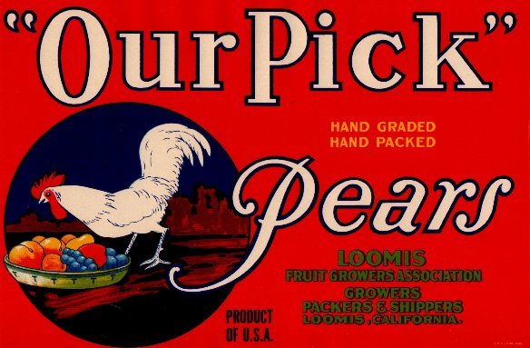our pick pears produce of usa