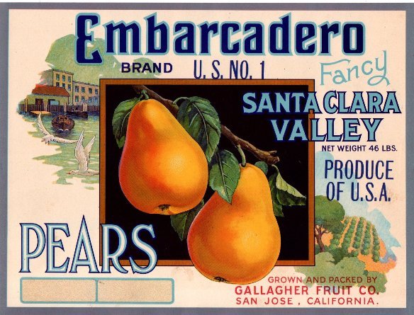 embarcadero pears produce of usa