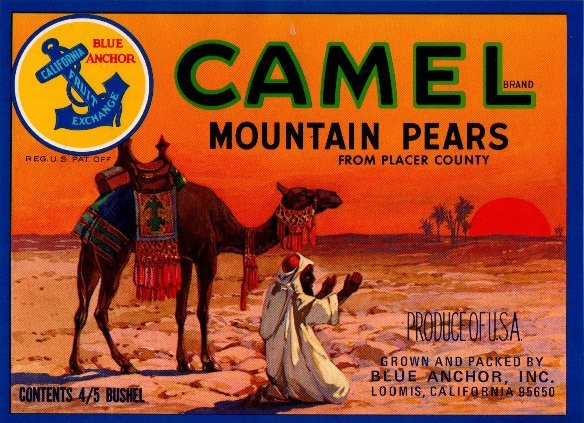 camel mountain pears produce of usa