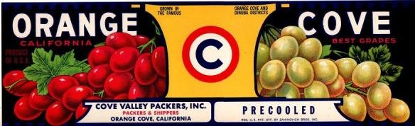 orange cove best grapes