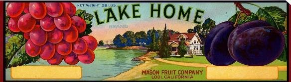 lake home
