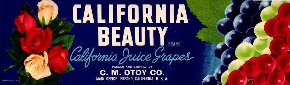 california beauty grapes usa