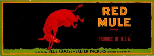 red mule produce of usa