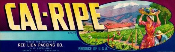 cal-ripe produce of usa
