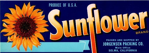 sunflower produce of usa