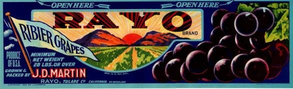 rayo ribier grapes produce of usa
