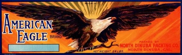 american eagle