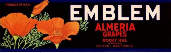 emblem almeria grapes produce of usa