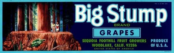 big stump grapes produce of usa