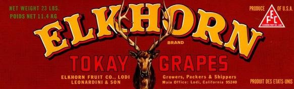 elkhorn tokeay grape produce of usa