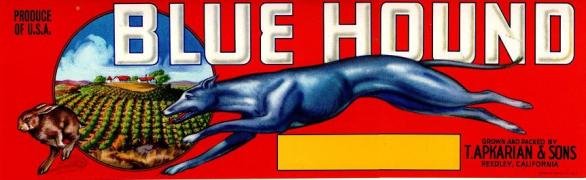 blue hound produce of usa