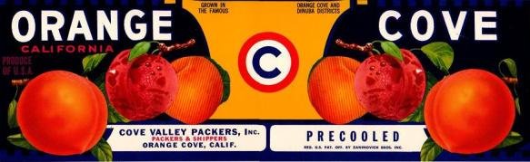 orange cove produce of usa