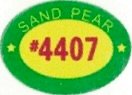 sand pear #4407