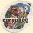 coryphee