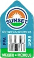 Sunset greenhousegrown.ca ppa 4688 mexico mexique