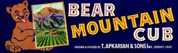bear mountain