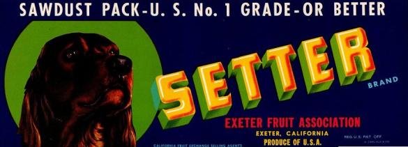 setter produce of usa