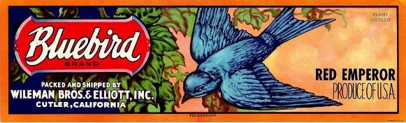 bluebird red emperor produce of usa