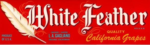 white feather california grapes produce of usa
