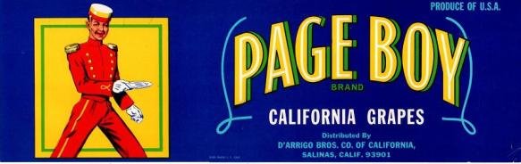 page boy california grapes produce of usa