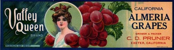 valley queen almeria grapes