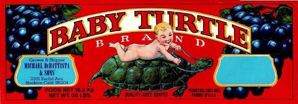 baby turtle produce of usa