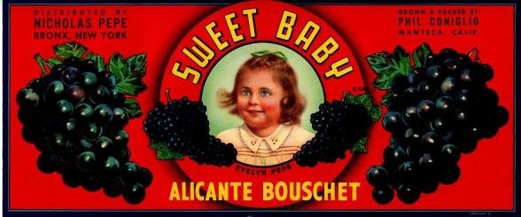 sweet baby