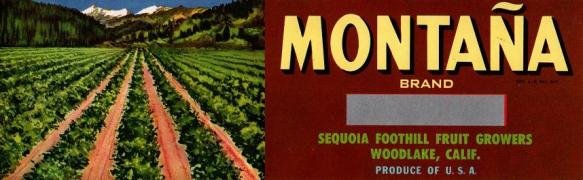montana produce of usa