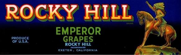 rocky hill emperor grapes produce of usa