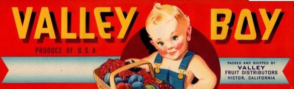 valley boy produce of usa