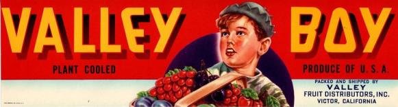 valley boy produce of usa