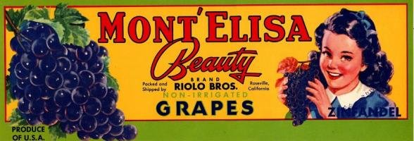 mont elisa grapes produce of usa