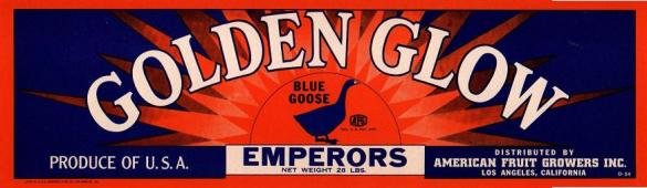 golden glow emperors produce of usa
