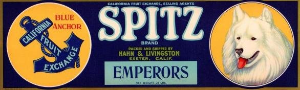 spitz emperors