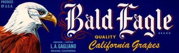 bald eagle grapes produce of usa