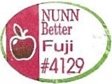 Nunn better fuji #4129
