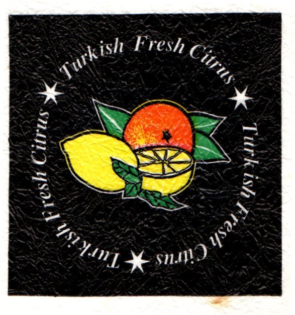 turkish fresh citrus
