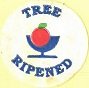 tree ripened