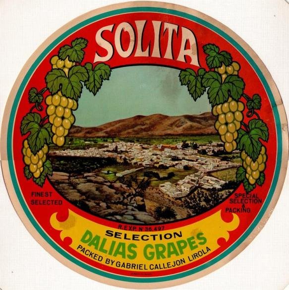 solita dalias grapes