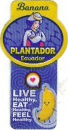 Plantador banana ecuador live healthy, eat healthy, feel healthy.