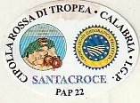 santacroce cipolla rossa di tropea calabria i.g.p. pap 22