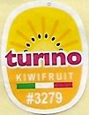 Turino kiwifruit #3279